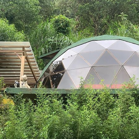 Magic Elf Glamping Apartment Mindo Ngoại thất bức ảnh
