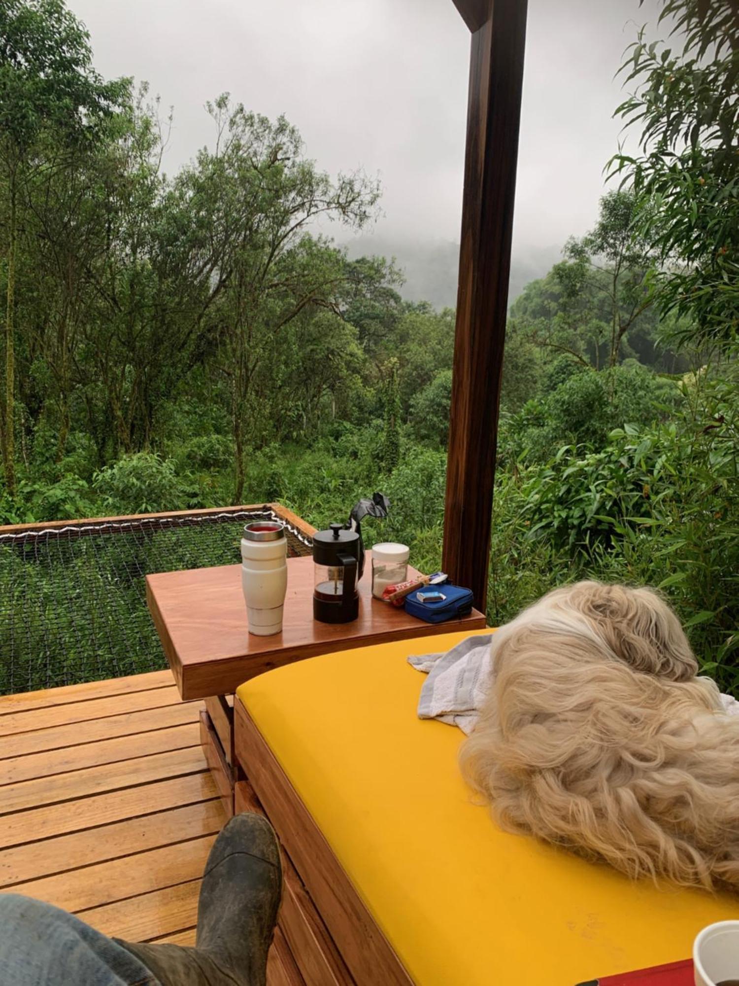 Magic Elf Glamping Apartment Mindo Ngoại thất bức ảnh